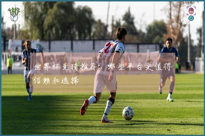世界杯竞猜推荐：哪些平台更值得信赖和选择