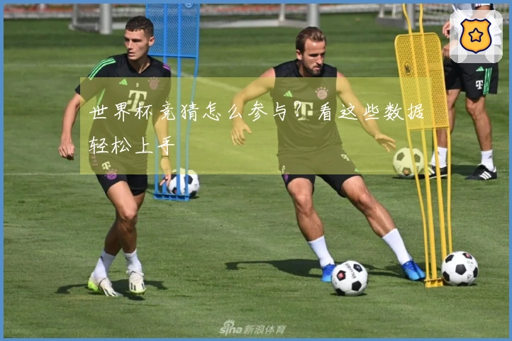 世界杯竞猜怎么参与？看这些数据轻松上手