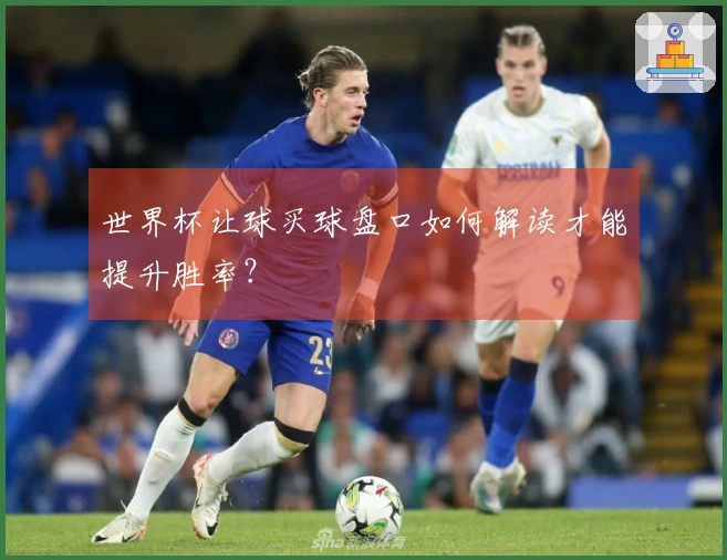 世界杯让球买球盘口如何解读才能提升胜率？