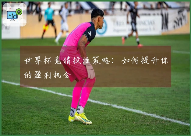 世界杯竞猜投注策略：如何提升你的盈利机会