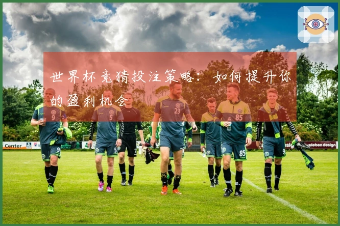 世界杯竞猜投注策略：如何提升你的盈利机会