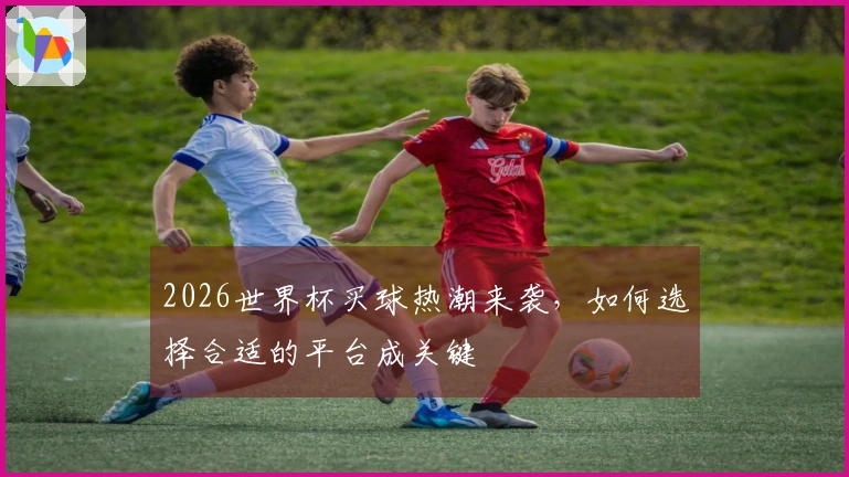 2026世界杯买球热潮来袭，如何选择合适的平台成关键