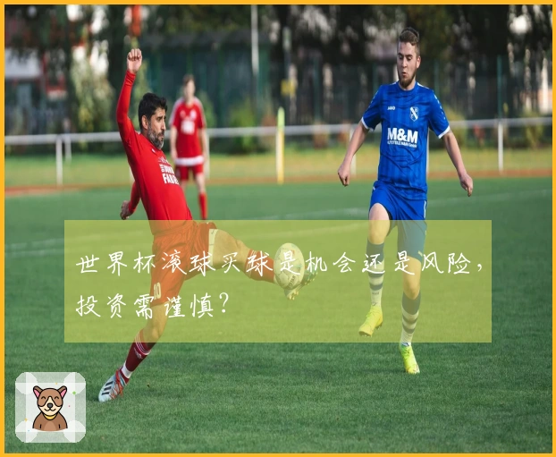 世界杯滚球买球是机会还是风险，投资需谨慎？