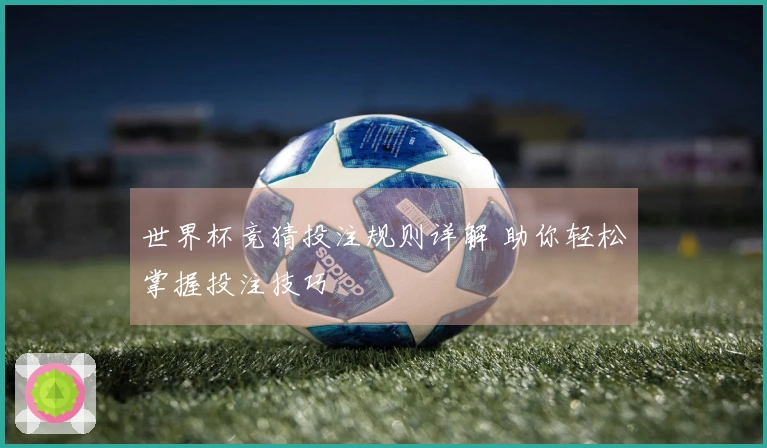 世界杯竞猜投注规则详解 助你轻松掌握投注技巧