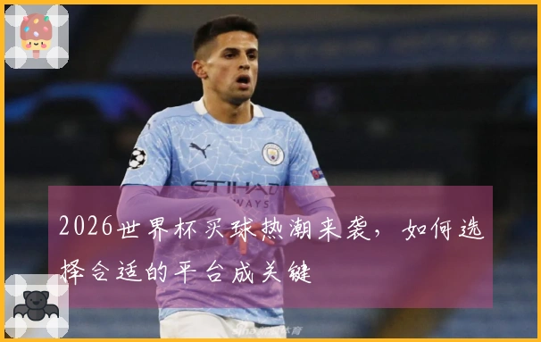 2026世界杯买球热潮来袭，如何选择合适的平台成关键