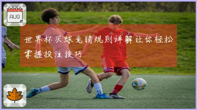 世界杯买球竞猜规则详解让你轻松掌握投注技巧